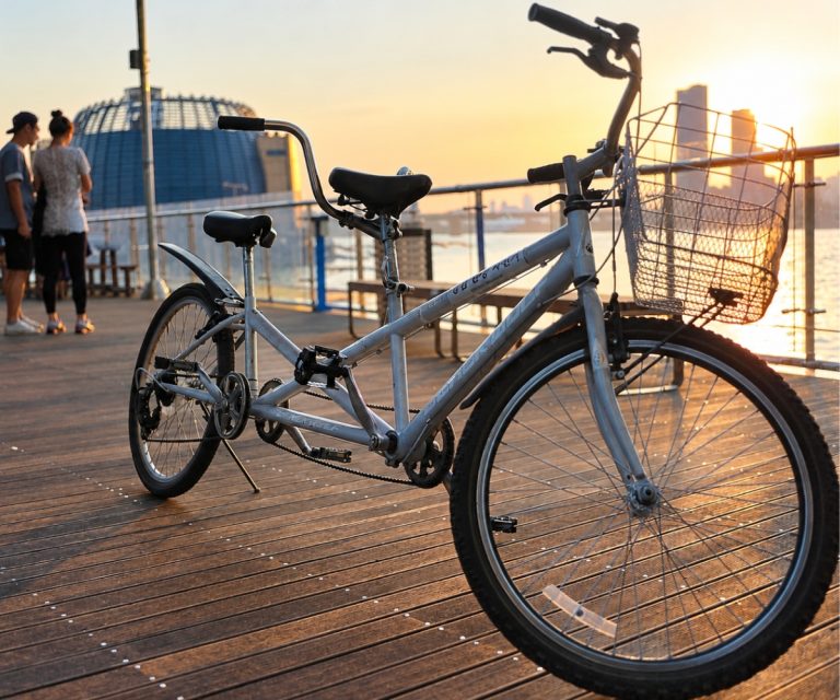 Tandem bike: entenda como funciona essa bicicleta dupla. Contrate já um seguro bike da Benê e pedale com mais tranquilidade, contando com atendimento especializado e contratação rápida pelo WhatsApp.